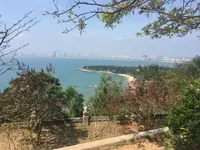 đỉnh Bàn Cờの写真・動画_image_123347