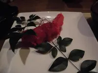 おおやま 本店の写真・動画_image_123388