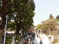 太宰府天満宮の写真・動画_image_123405