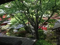 とうふ屋 うかい 鷺沼店の写真・動画_image_123461