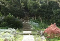 ぬちまーす 観光製塩ファクトリーぬちうなーの写真・動画_image_123539