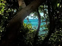 ぬちまーす 観光製塩ファクトリーぬちうなーの写真・動画_image_123540