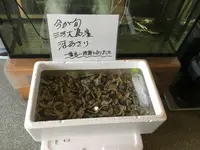 手打ち蕎麦 かわせみの写真・動画_image_123676