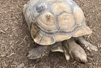 ＳａｙｕｒｉＷｏｒｌｄの写真・動画_image_123682