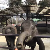 アニマルワンダーリゾウト（市原ぞうの国）の写真・動画_image_123684