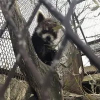 アニマルワンダーリゾウト（市原ぞうの国）の写真・動画_image_123685