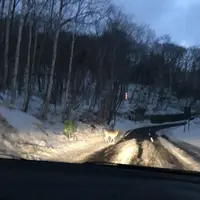 丸駒温泉の写真・動画_image_123691