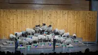 マザー牧場の写真・動画_image_123868