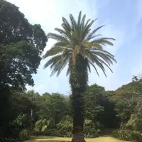 八丈植物公園の写真・動画_image_124031