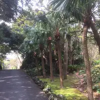 八丈植物公園の写真・動画_image_124032