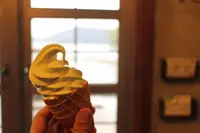 道の駅 小豆島オリーブ公園の写真・動画_image_124043