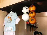 ぱんだの散歩の写真・動画_image_124079