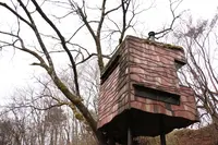 二期倶楽部の写真・動画_image_124131