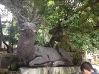 春日大社の写真・動画_image_124190