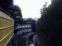 猿沢池の写真・動画_image_124204