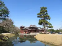 平等院の写真・動画_image_124271