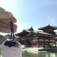 平等院の写真・動画_image_124272