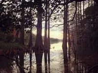 篠栗九大の森の写真・動画_image_124296