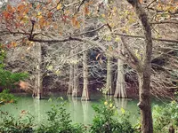 篠栗九大の森の写真・動画_image_124298