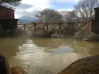 きづなの写真・動画_image_124357