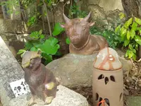 天津神社の写真・動画_image_124419