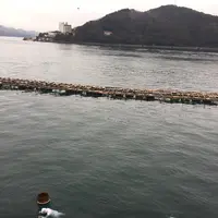 ミキモト真珠島の写真・動画_image_124477