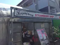 小泉農園ストロベリーショップの写真・動画_image_124587