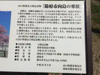 向島小学校の写真・動画_image_124591