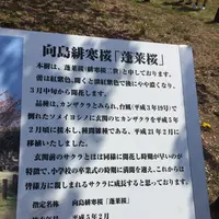 向島小学校の写真・動画_image_124593