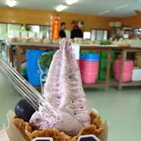 二井観光ブドウ園の写真・動画_image_124645