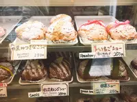 レモンツリーの写真・動画_image_124687