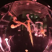 マクセル アクアパーク品川の写真・動画_image_124694