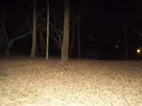 江古田の森公園の写真・動画_image_124866