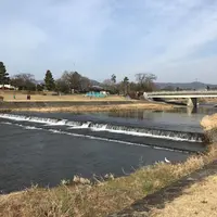 下鴨神社（賀茂御祖神社）の写真・動画_image_124916