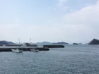 白水港の写真・動画_image_125082