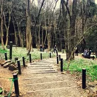 佐野市 万葉自然公園 かたくりの里の写真・動画_image_125123
