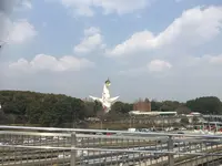 太陽の塔の写真・動画_image_125224