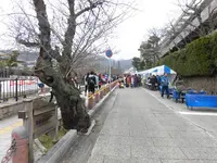 芦屋公園の写真・動画_image_125248