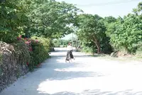 新田観光の写真・動画_image_125284