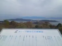 牛窓オリーブ園の写真・動画_image_125340