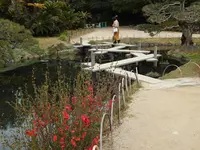 岡山後楽園の写真・動画_image_125367