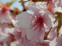伊部駅の写真・動画_image_125457