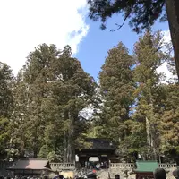 日光東照宮の写真・動画_image_125486