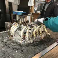 華厳ノ滝の写真・動画_image_125506