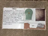 亀塚古墳の写真・動画_image_125533