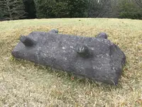 亀塚古墳の写真・動画_image_125534