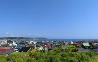 長谷寺の写真・動画_image_125593