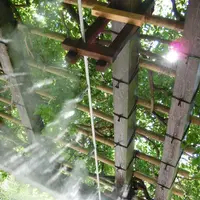 長谷寺の写真・動画_image_125594