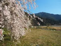 加茂川の写真・動画_image_125667