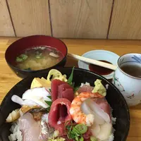 本種の写真・動画_image_125723